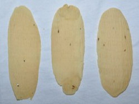 chips