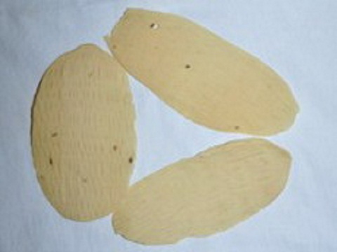 Long Chips